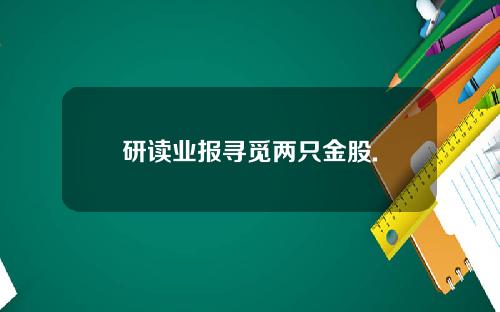 研读业报寻觅两只金股.