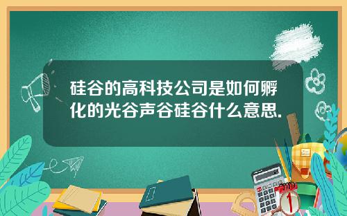 硅谷的高科技公司是如何孵化的光谷声谷硅谷什么意思.