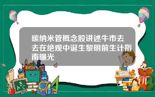 碳纳米管概念股讲述牛市去去在绝观中诞生黎明前生计指南曝光