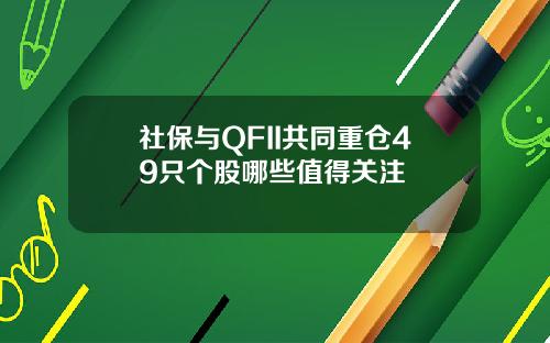 社保与QFII共同重仓49只个股哪些值得关注