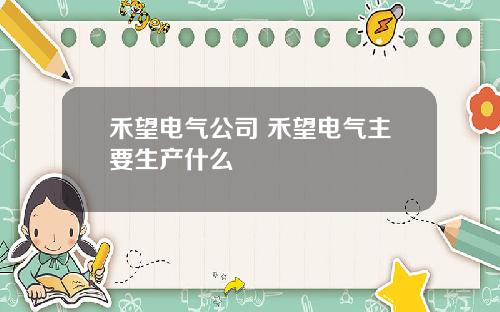 禾望电气公司 禾望电气主要生产什么