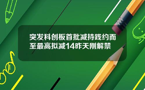 突发科创板首批减持践约而至最高拟减14昨天刚解禁