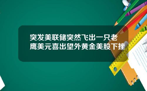 突发美联储突然飞出一只老鹰美元喜出望外黄金美股下挫