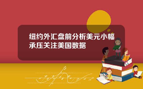 纽约外汇盘前分析美元小幅承压关注美国数据