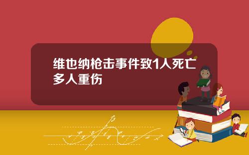 维也纳枪击事件致1人死亡多人重伤