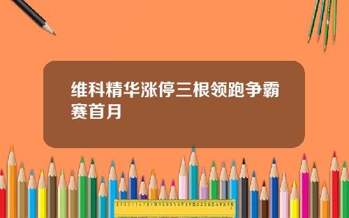 维科精华涨停三根领跑争霸赛首月