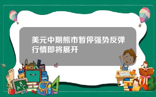 美元中期熊市暂停强势反弹行情即将展开