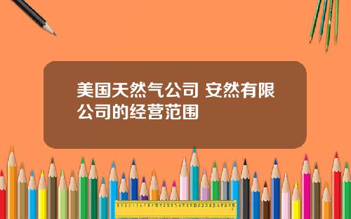美国天然气公司 安然有限公司的经营范围