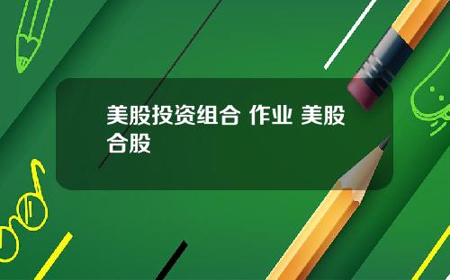美股投资组合 作业 美股合股