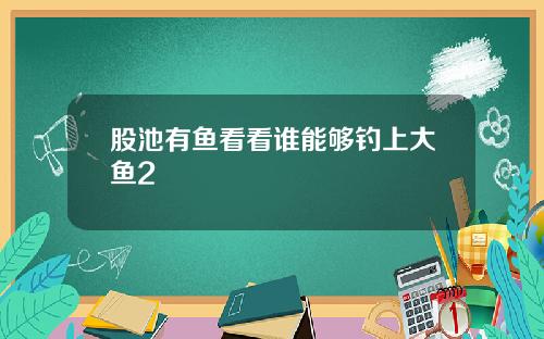 股池有鱼看看谁能够钓上大鱼2