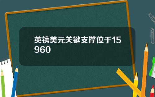 英镑美元关键支撑位于15960