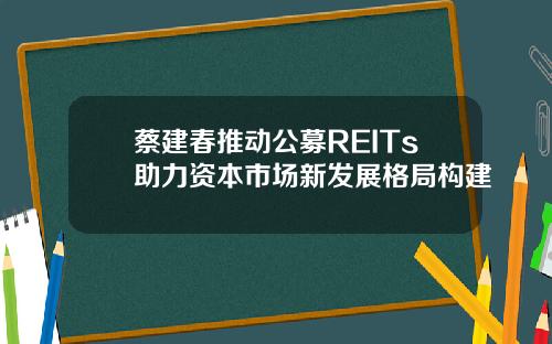 蔡建春推动公募REITs助力资本市场新发展格局构建