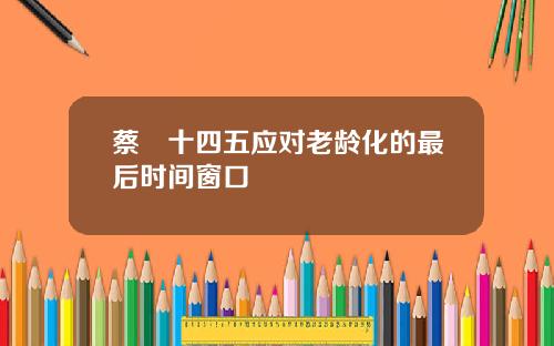 蔡昉十四五应对老龄化的最后时间窗口