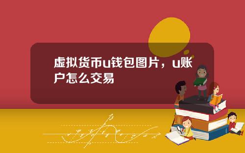 虚拟货币u钱包图片,u账户怎么交易