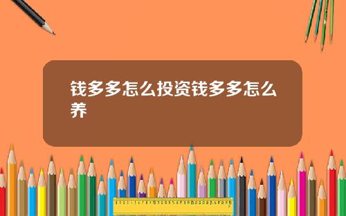 钱多多怎么投资钱多多怎么养