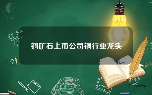 铜矿石上市公司铜行业龙头