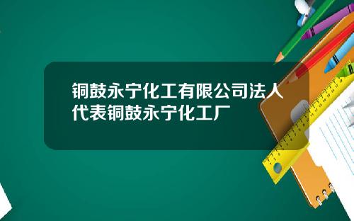 铜鼓永宁化工有限公司法人代表铜鼓永宁化工厂