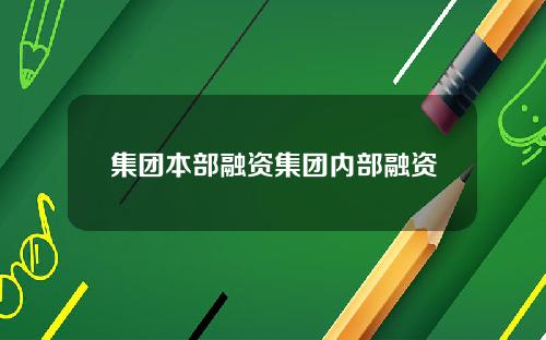 集团本部融资集团内部融资