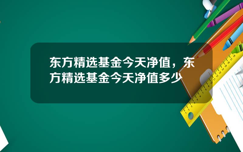 东方精选基金今天净值，东方精选基金今天净值多少