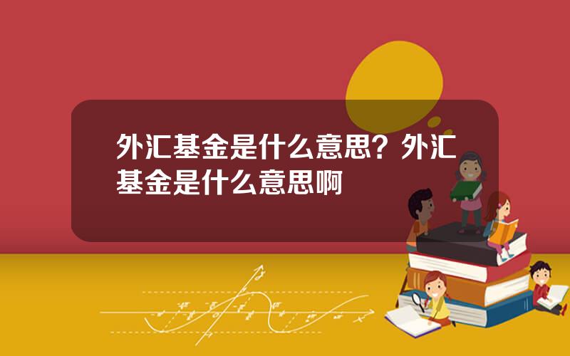 外汇基金是什么意思？外汇基金是什么意思啊