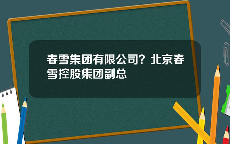 春雪集团有限公司？北京春雪控股集团副总