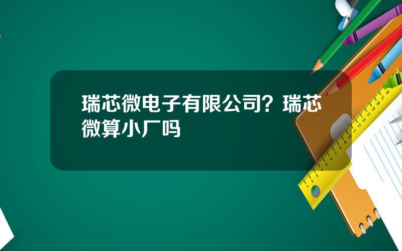 瑞芯微电子有限公司？瑞芯微算小厂吗