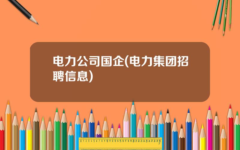 电力公司国企(电力集团招聘信息)