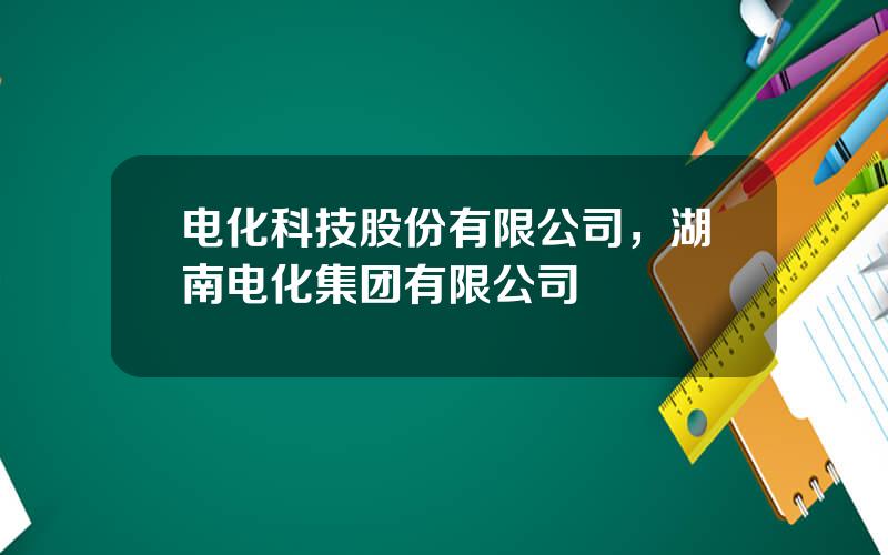 电化科技股份有限公司，湖南电化集团有限公司