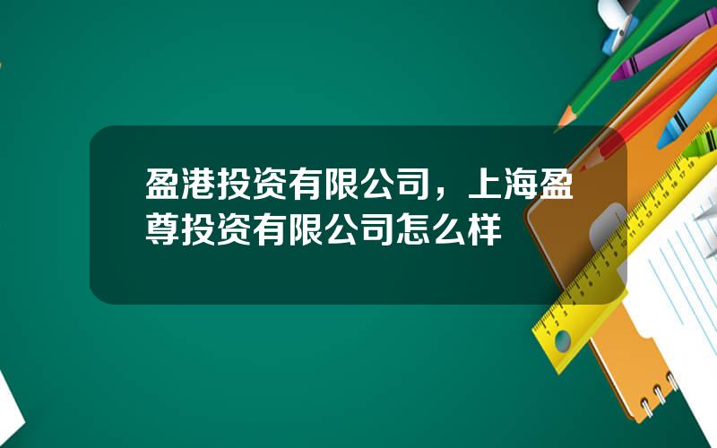 盈港投资有限公司，上海盈尊投资有限公司怎么样