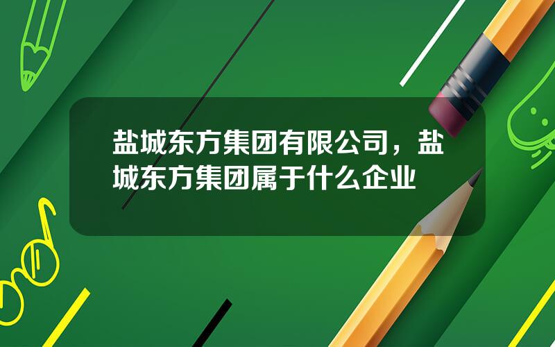 盐城东方集团有限公司，盐城东方集团属于什么企业