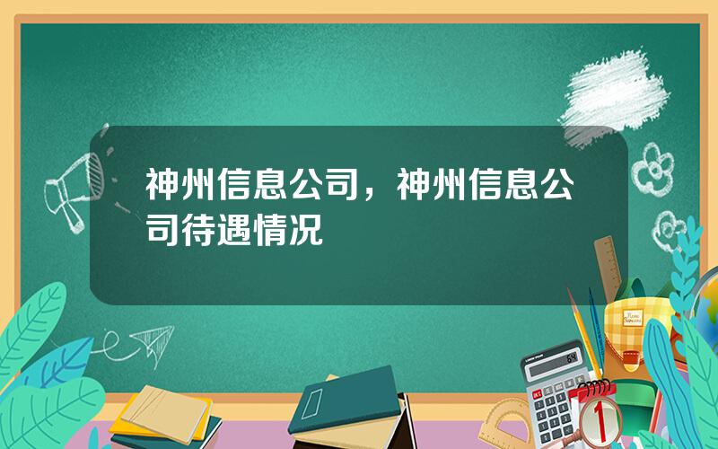 神州信息公司，神州信息公司待遇情况