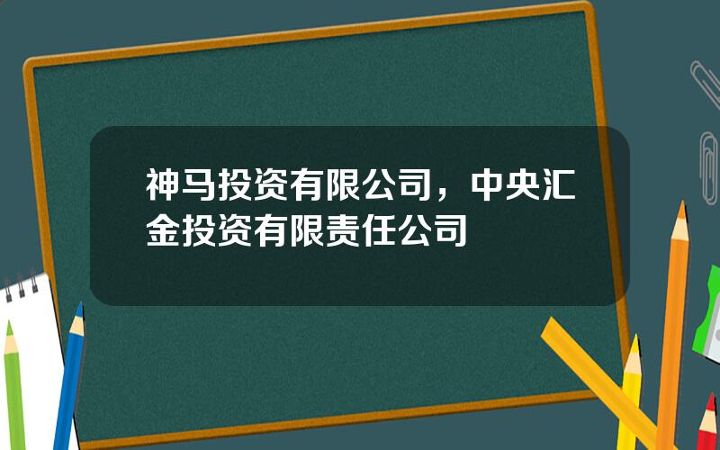 神马投资有限公司，中央汇金投资有限责任公司