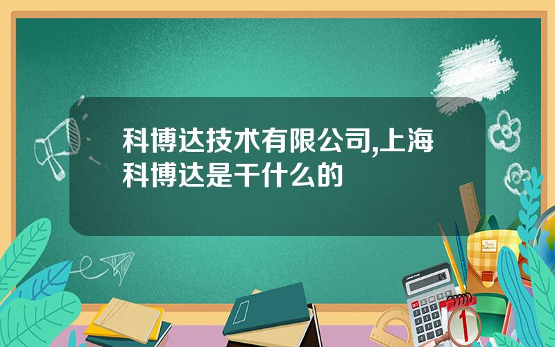 科博达技术有限公司,上海科博达是干什么的