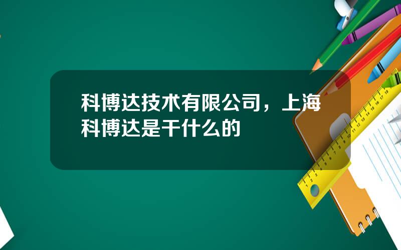 科博达技术有限公司，上海科博达是干什么的