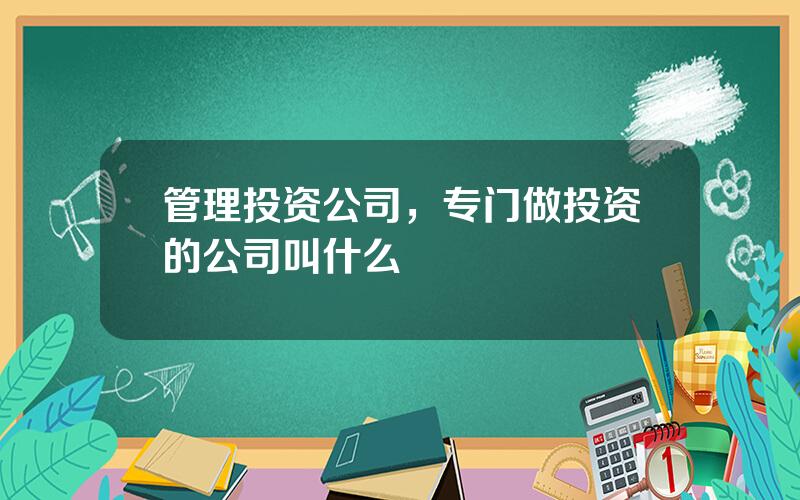 管理投资公司，专门做投资的公司叫什么