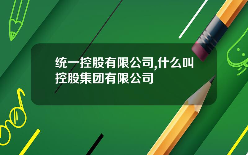 统一控股有限公司,什么叫控股集团有限公司