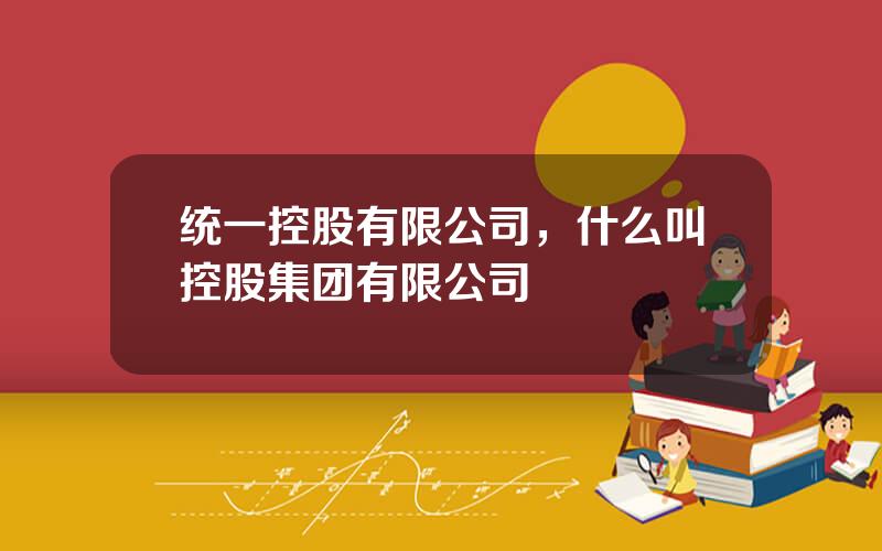 统一控股有限公司，什么叫控股集团有限公司