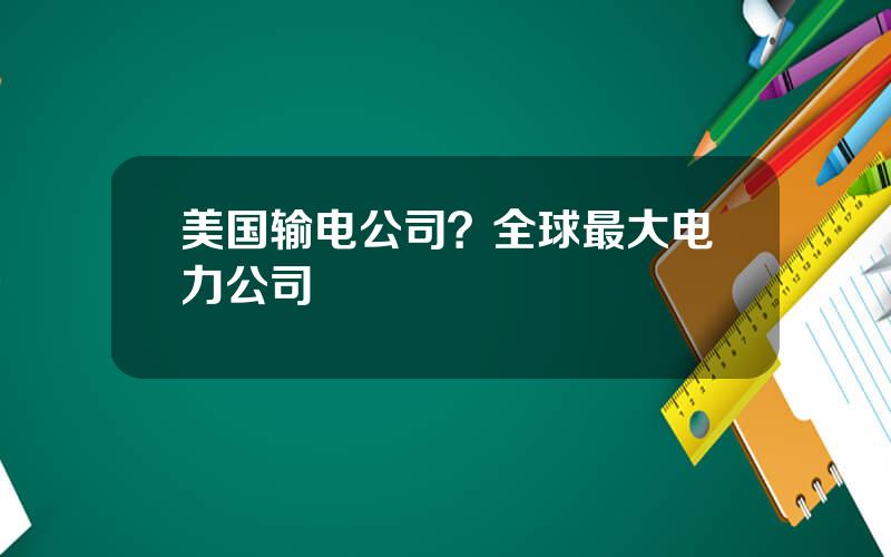美国输电公司？全球最大电力公司
