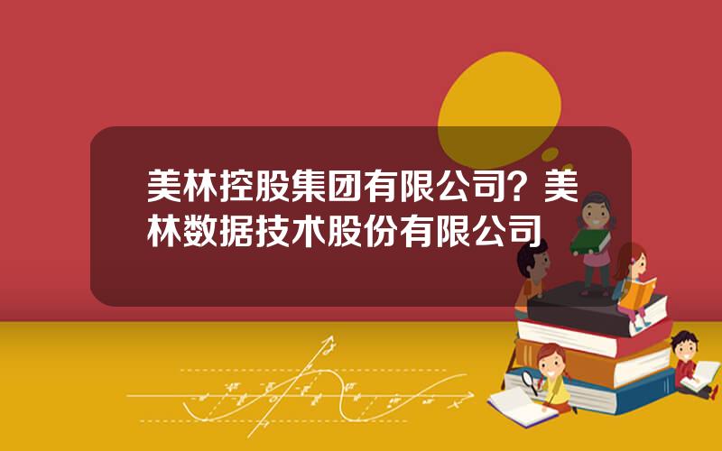 美林控股集团有限公司？美林数据技术股份有限公司