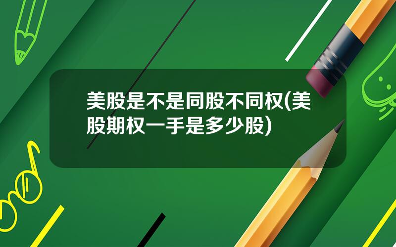 美股是不是同股不同权(美股期权一手是多少股)