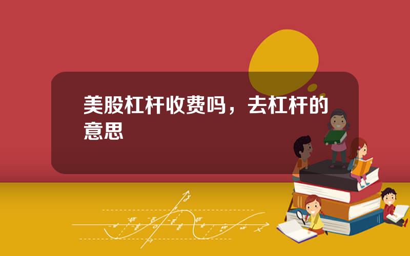 美股杠杆收费吗，去杠杆的意思