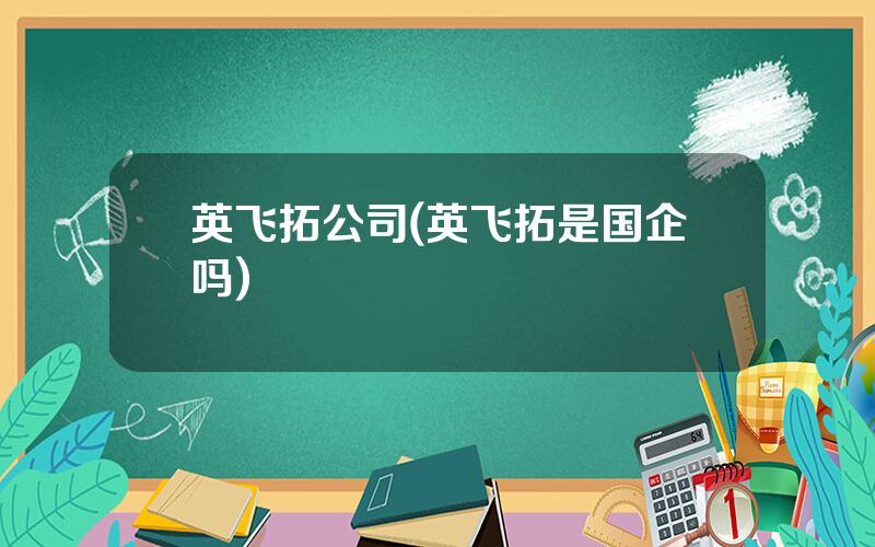 英飞拓公司(英飞拓是国企吗)