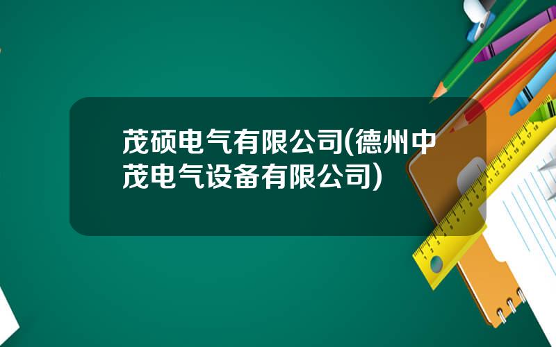 茂硕电气有限公司(德州中茂电气设备有限公司)