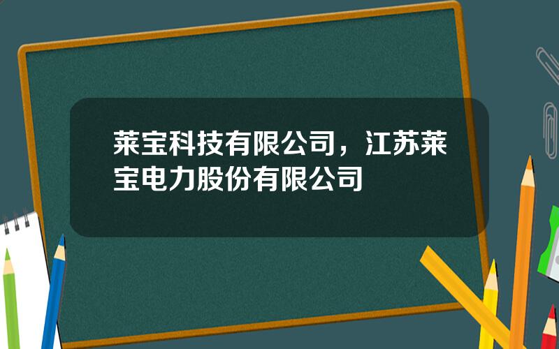 莱宝科技有限公司，江苏莱宝电力股份有限公司