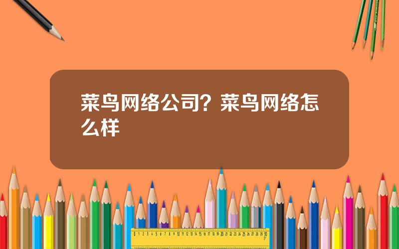 菜鸟网络公司？菜鸟网络怎么样