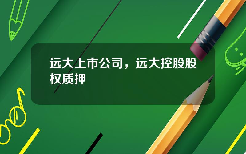 远大上市公司，远大控股股权质押