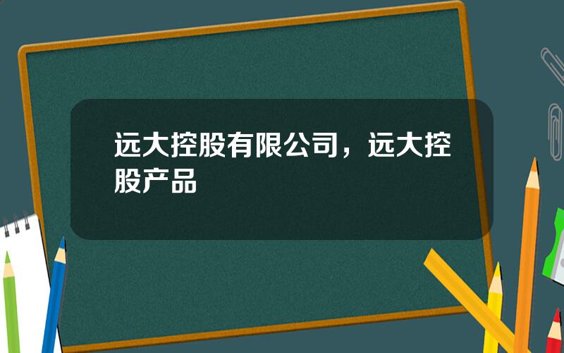 远大控股有限公司，远大控股产品