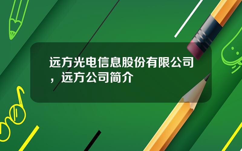 远方光电信息股份有限公司，远方公司简介