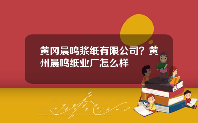 黄冈晨鸣浆纸有限公司？黄州晨鸣纸业厂怎么样