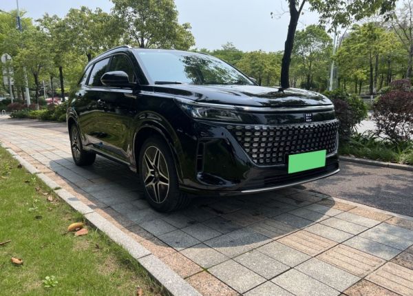 选插混SUV蓝电E5:多口之家的理想之选